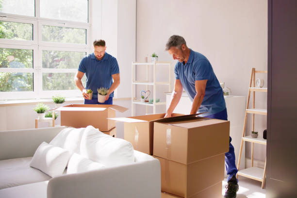 Packing team
